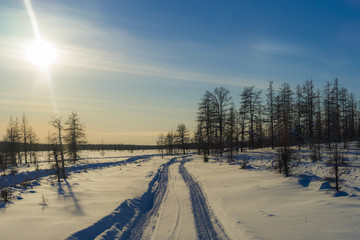 Winter landscape with forest, snow and ice road