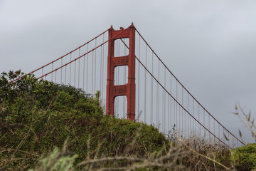 Golden Gate Bridge peeking over the hill