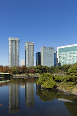 東京都市風景　浜離宮　庭園　秋　紅葉と汐留の高層ビル　高層マンション群