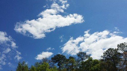 Beautiful view on blue sky and clouds over the forest