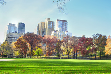 Fototapeta na wymiar Central park New York.