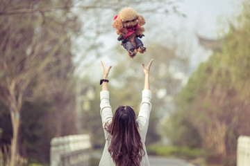 Toy Poodle playing with its female master in a park.