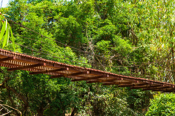 Beautiful Rope Bridge in Middle of Deep Forest