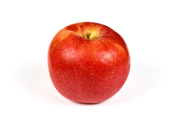 One red ripe apple close up on a white background.