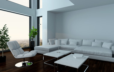 Fototapeta na wymiar Modern light white living room interior with couch
