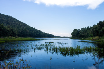 Obraz na płótnie Canvas Reserved water at NamJo pond