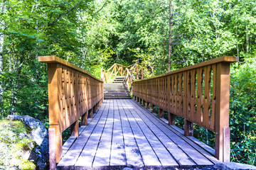 wooden bridge in the green forest