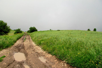 Mud and puddles in the mountains after a rain. Dangerous road.