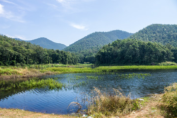 Fototapeta na wymiar Reserved water at NamJo pond