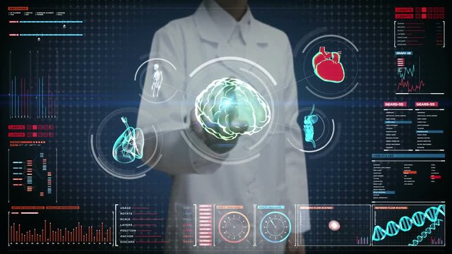 Female doctor touching digital screen, Scanning brain, heart, lungs, internal organs in digital display dashboard. X-ray view.