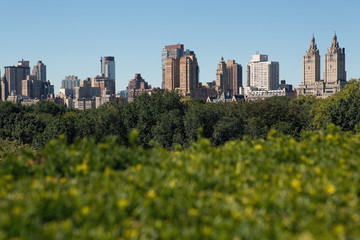 Obraz premium New York buildings