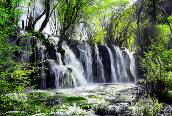 Waterfall with crystal clear water among green woods, Jiuzhaigou