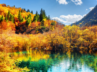 Autumn forest reflected in pond with emerald crystal water