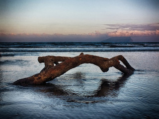 Fototapeta premium Calmness