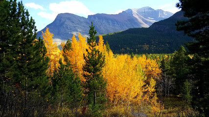 The colors of fall come alive in a tree covered valley.