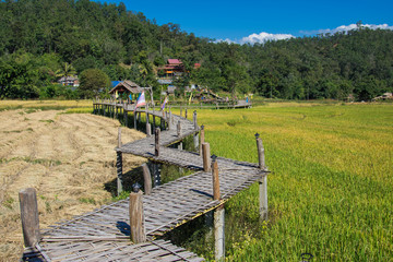 Obraz premium Bamboo bridge over a field in Banpambok Pai, Mae Hong Son, Thailand.