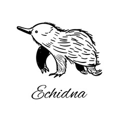 Echidna icon in doodle style. Logotype for business. Vector illustration.