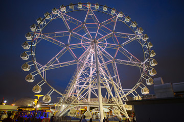 Ferris Wheel at the night