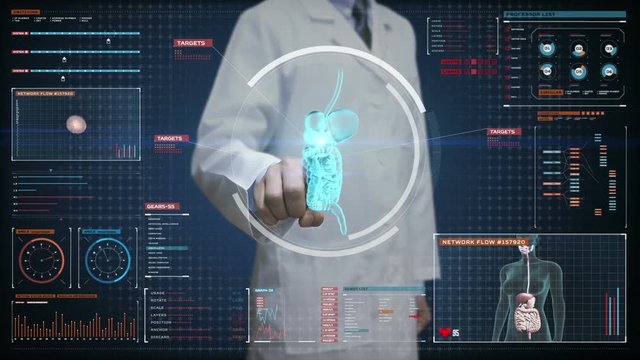 Doctor touching digital screen, Zooming body scanning internal organs, Digestion system in digital display.Blue X-ray view. 