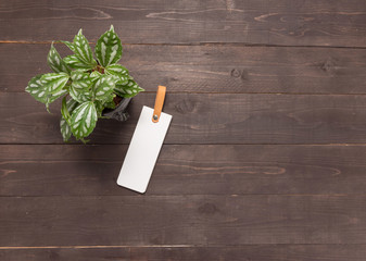 Tag and flowerpot are on the wooden background