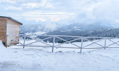 Obraz premium pasture for horses in winter