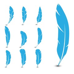 Set of feathers. Vector illustration.
