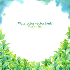 Watercolor vector frame with fresh mint