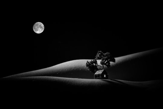 Monochrome bodyscape with a little house, that looks like a night landscape