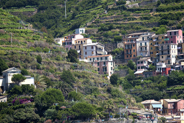 Obraz premium The villages of Monterosso al Mare,Vernazza, Corniglia, Manorola on the Cinqueterra coast of Italy. 