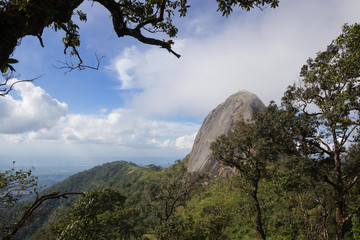 mountain in north Thailand through the fog
