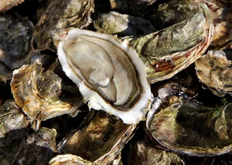 Kussenhoes huîtres ouvertes pour les fêtes © papinou