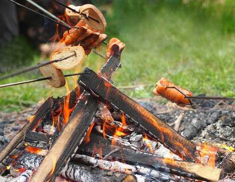 Baking sausages on the campfire. Traditional czech summer activity.
