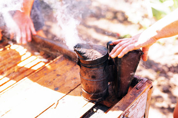 Frames of a bee hive. Beekeeper harvesting honey. The bee smoker