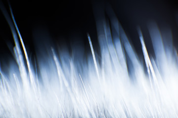 Abstract macro of fur in blue tones. Shallow depth of field, artistic colors, decorative look.