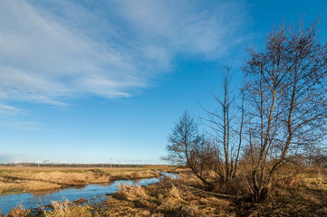 autumn landscape. the narrow marshy river in the field with trees in the foreground under the blue sky