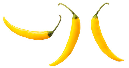 Hot yellow chili or chilli pepper isolated on white background