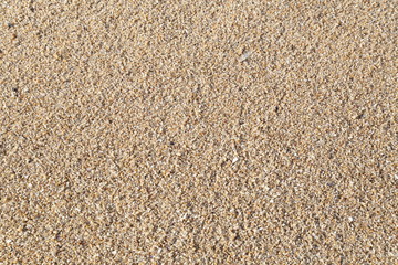 beach sand