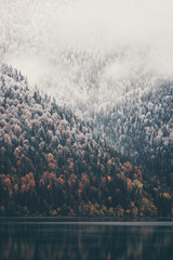 Foggy Coniferous Forest i jezioro dzikie lasy krajobraz Koncepcja podróży spokojny widok malowniczych - 129413380