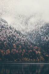 Türaufkleber Grau Nebeliger Nadelwald und See wilde Waldlandschaft Reisekonzept ruhige malerische Aussicht