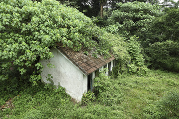 Fototapeta na wymiar An abandoned home at outside jungle