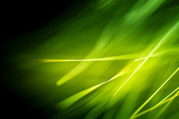 Abstract macro of fur in green tones. Shallow depth of field, artistic colors, decorative look.