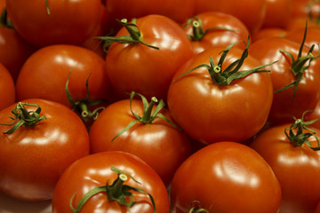 Ripe tomatoes
