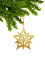 Gold Christmas star on ribbon on green tree branch isolated on w