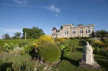 Fototapeta na wymiar Castle of Vayres in Gironde