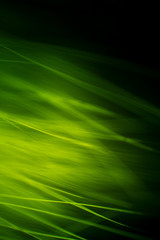 Abstract macro of fur in green tones. Shallow depth of field, artistic colors, decorative look.