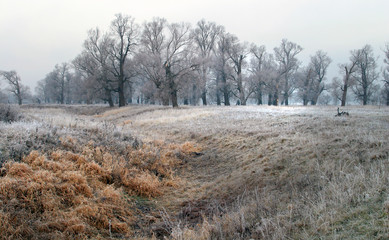 Obraz na płótnie Canvas The arrival of winter