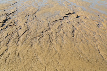 beach sand water mark
