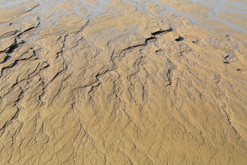 beach sand water mark