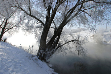 Fototapeta na wymiar misty morning on the river Zai