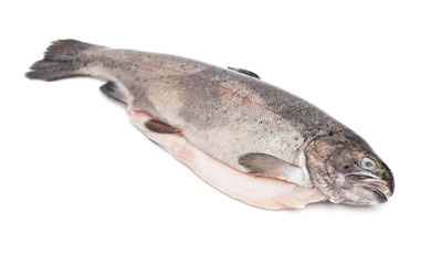 Gutted trout isolated
